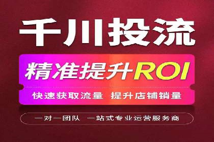 某电商平台的SEM推广实践与效果展示